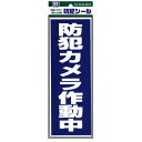 【メール便】防犯シール【防犯カメラ作動中】Lサイズ1枚組 豊光 BS−820 ガラス、窓、ドアなどに貼りつけるだけの簡単防犯対策【防犯グッズ】