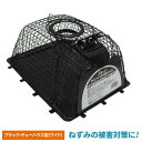ブラック・チューハウス型(ワイド) ネズミ捕獲器 ねずみ コンパル 害獣対策 防獣対策 駆除 忌避 屋外 野外 畑 ガーデニング 園芸 農業 屋根裏 物置 床下...
