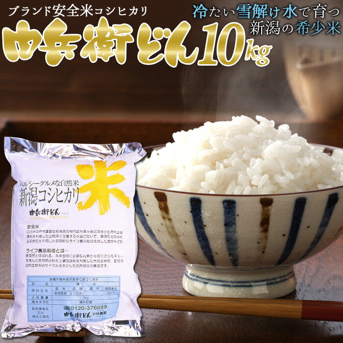 新潟産 こしひかり コシヒカリ 由兵衛どん10kg 新潟産 新潟県産 産地直送 安心 安全 窒素置換包装 新鮮 新米 お米／お中元・お歳暮・内祝い等に／送料無料 小林農園