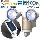 【56%引き】 人気のため再入荷!人感センサーライト 屋外 防犯ライト センサーライト ムサシ RITEX 3W×2LED ソーラーセンサーライト(S-65L)...