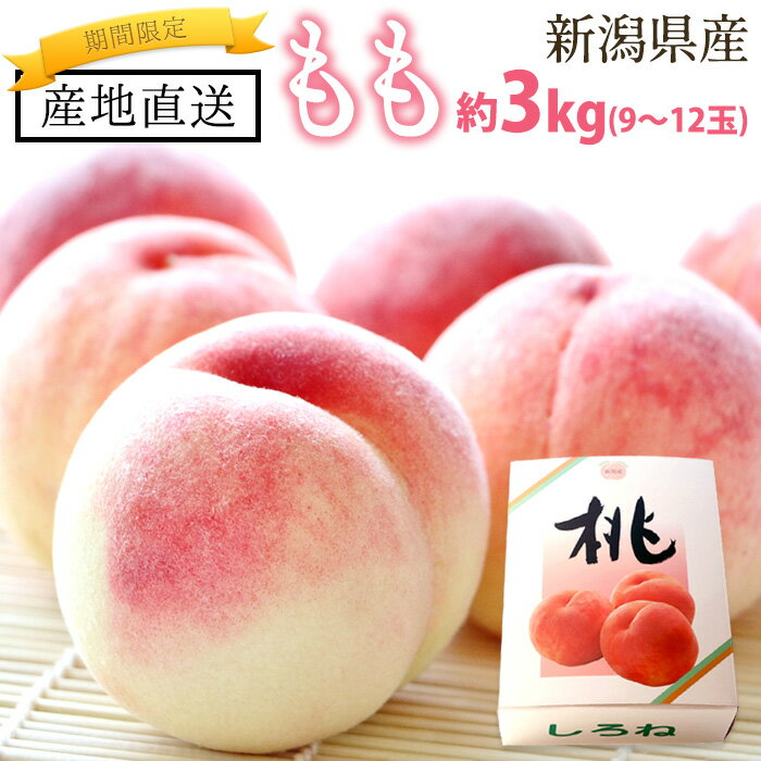 【夏季限定】 桃 約3kg（9～12玉） 白桃 もも 贈答用 自宅用 ◎熨斗対応可 新潟県 新潟産 新潟県産 産地直送 農家直送 送料無料 果物 フルーツ お中元 期間限定 ギフト プレゼント 笠原農園のサムネイル