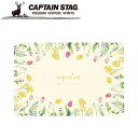 ※クーポン利用で50円OFF!※ アプリール ソフトクッションレジャーシート90×60cm(グロウ) アウトドア・キャンプ用品 キャプテンスタッグ CAPTAIN STAG 屋外 レジャーソロキャンプ バーベキュー 正規品取扱店 パール金属