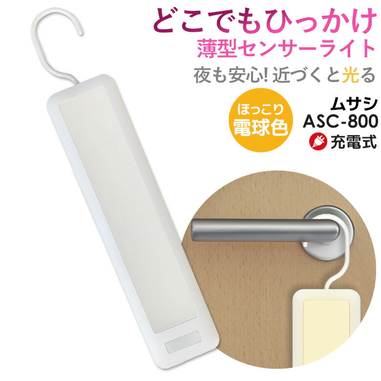 【44％引き】 人感センサーライト 防犯ライト LEDセンサーライト ムサシ RITEX どこでもひ