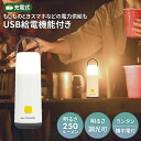 【大感謝祭限定ポイント5倍】【39%引き】 ムサシ 充電式ミニランタンプラス懐中電灯(RL-01) USB充電 給電機能付き コンパクト 持ち運び 小型ライト ...