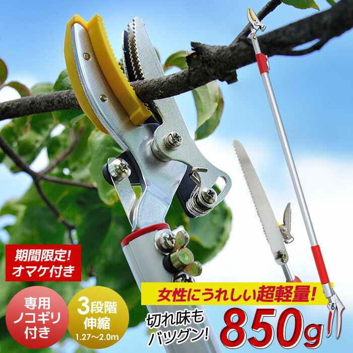 【45％引き】シリーズ累計5万本突破！ 3段伸縮式高枝切り鋏 ※のこぎり付き※ 最大切断径約10mm 高枝切りバサミ はさみ 剪定鋏 ガーデニング用品 枝切 ハサミ 園芸 軽量 女性用 軽い 高枝切鋏 周年祭のサムネイル