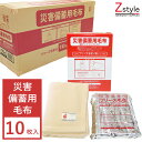 送料無料 災害備蓄用毛布難燃フリースコンパクトタイプ10枚入り【防災用 防災グッズ 防災用品 災害備蓄品 車載用 車中泊 雪対策】