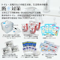 防災セット停電断水対策・在宅避難ボックス2人用【防災セット2人用在宅避難セット2人用在宅避難3密対策断水対策停電対策断水停電台風対策防災グッズ防災用品避難グッズ避難用品】