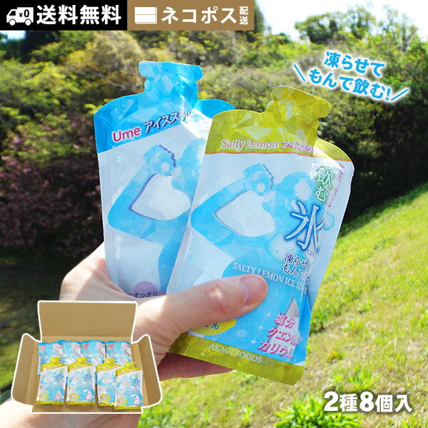 常温でお届けします。凍らせてからご利用ください。 赤城フーズ アイススラリー 飲む氷 梅味＆塩レモン味 8袋セット 凍らせて揉んで飲む、新感覚の“飲む氷”！ アイススラリーは、微細な氷の粒と液体が混ざった“スラリー状”の冷感ドリンク。 シャリッとした口当たりと、とろっとしたなめらかなのど越しで、暑さで火照った体を内側から素早くクールダウンしてくれます。 冷凍庫で凍らせたあと、手で軽く揉んで少し溶かせば、飲みやすい温度と絶妙な食感に。屋外での活動やスポーツ後など、暑さが気になるシーンにおすすめです。 2つのさわやかフレーバー 梅味と塩レモン味をそれぞれ4袋ずつお試しいただける、ネコポス配送・送料無料のお得なセットです。 Ume（梅）アイススラリー：国産の梅果汁を使用し、ほのかな酸味とさっぱりとした後味が特徴。夏バテ気味のときにも飲みやすく、リフレッシュ感たっぷりの味わいです。 Salty Lemon（ソルティレモン）アイススラリー： 国産レモン果汁のキュッとした酸味に、ほんのり塩味と甘みを加えた、爽快感あふれるフレーバー。塩分が気になる季節の水分補給にもぴったりです。 概要 販売名 Umeアイススラリー、SaltyLemonアイススラリー セット内容 Umeアイススラリー100g ×4袋 SaltyLemonアイススラリー100g ×4袋 内容量 100g（1袋） 原材料 Umeアイススラリー（国産梅果汁入り） マルトデキストリン（国内製造）、果糖ぶどう糖液糖、うめ濃縮果汁、食塩／トレハロース、酸味料、塩化K、増粘多糖類、乳酸Ca、塩化Mg、香料 SaltyLemonアイススラリー（国産レモン果汁入り） マルトデキストリン（国内製造）、果糖ぶどう糖液糖、レモン果汁、食塩／トレハロース、酸味料、塩化K、増粘多糖類、乳酸Ca、塩化Mg、香料 アレルギー物質（28品目中） 該当なし 販売者 赤城フーズ株式会社　群馬県前橋市上大島町84 賞味期限 製造日より18ヵ月 保存方法 直射日光を避け、常温で保存してください。 1袋サイズ 約 85 × 150 × 10mm ｜ 約 103g 注意事項 ※容器のフチでケガしないようにご注意下さい。 ※開封後は賞味期限にかかわらず、すぐにお召し上がりください。 ※冷凍庫から出してすぐに飲むと、容器が口にはりつくことがありますので、ご注意ください。 ※容器への衝撃は避けてください。容器の破損や液モレの原因となります。 ※色味が変わる場合がありますが、品質に問題はありません。 ※からだに合わない場合は飲用を中止してください。 栄養成分表示　[ 1袋（100g）あたり ] 　Umeアイススラリー エネルギー たんぱく質 脂質 炭水化物 食塩相当量 104 kcal 0 g 0 g 26 g 0.11 g カリウム カルシウム マグネシウム クエン酸（目安） 260 mg 8 mg 6 mg 540 mg 　SaltyLemonアイススラリー エネルギー たんぱく質 脂質 炭水化物 食塩相当量 108 kcal 0 g 0 g 27 g 0.11 g カリウム カルシウム マグネシウム クエン酸（目安） 261 mg 8 mg 6 mg 560 mg