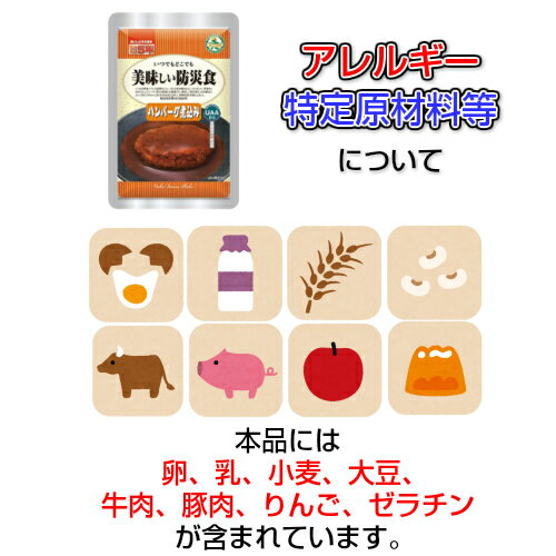 【送料無料】美味しい防災食ハンバーグ煮込み3個セットUAA食品UAA製法非常食保存食おかず【ネコポス】【メール便】【ゆうパケット】白米は別途必要売切れ時納期1週間