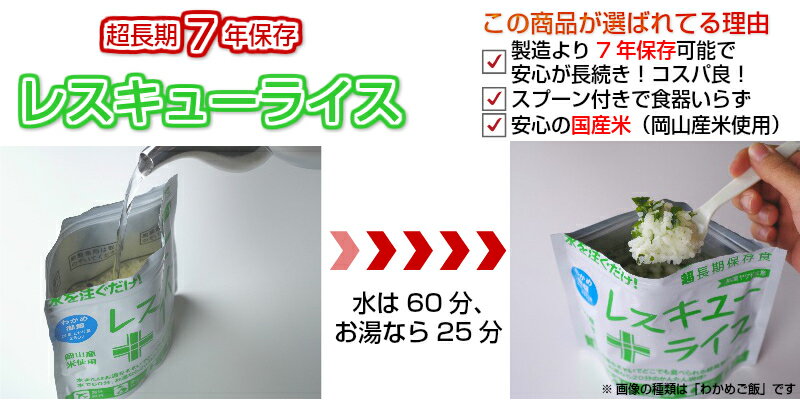 ＼キャンプにも／【送料無料】美味しい防災食　牛丼の具×2+ハンバーグ煮込み×2+レスキューライス×4　お得な4食セット　UAA製法　長期保存食　7年保存国産米　　5年保存食