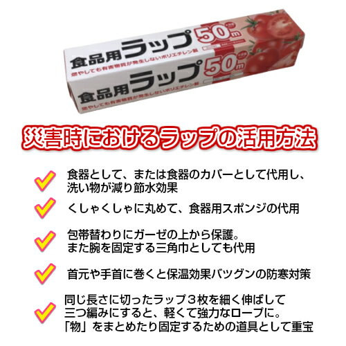 【あす楽】【送料無料】しっかり防災持出袋28アイテム51点セット7年保存水レスキューライスカンパン