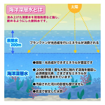 【5年保存水 2L×90本】 まとめ買い 15箱セット 計90本 2リットル ミネラルウォーター 共同購入 業務用 オフィス 防災 非常食 非常用飲料水 おいしい 軟水 備蓄 赤ちゃん ミルク用 お薬用 安心 保育園 幼稚園 子供 町会 海洋深層水 ミネラル豊富 高知県 室戸 売れ筋 おすすめ