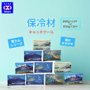 \ 訳あり 在庫限り 激安 / 保冷材 保冷剤 キャッチクール 日本製 富士山柄 選べるサイズ 大 約80g×10個 小 約30g×20個セット 繰り返し使える おしゃれ お弁当 アウトドア キャンプ 冷却グッズ トライ・カンパニー 製 ベスト ハード 保冷バック 保冷剤 ミニ 保冷剤