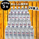 あんしん保存水 500ml 5年 24本入 防災セット 防災グッズ 【 保存食 5年保存 中身 中身だけ 備蓄用 備蓄水 食品 缶詰 アルファ米 おにぎり ごは...