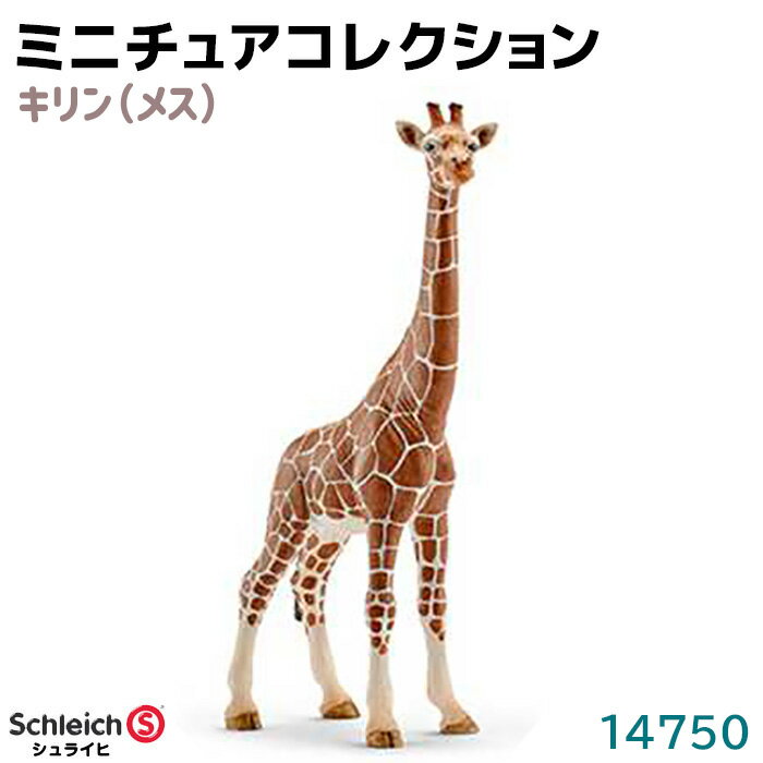 シュライヒ フィギュア キリン メス 14750 Schleich 9.4×17.2×4.1cm 動物フィギュア デザイン おもちゃ プレゼント インテリア ギフト ミニチュア コレクション トイ インテリアトイ アニマル かわいい 知育玩具 ソフビ 39ショップ ポイント消化 スーパーSALE