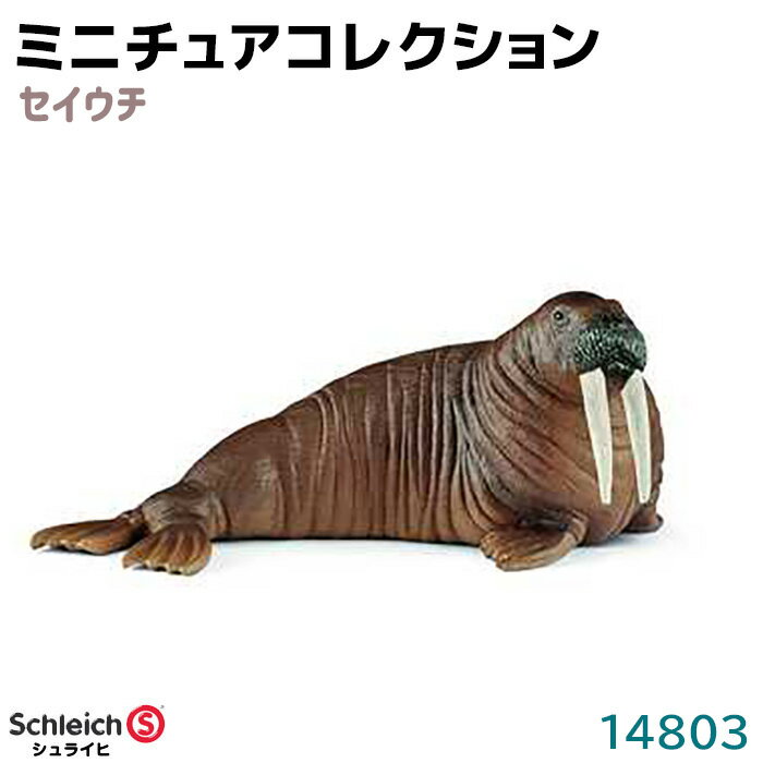 シュライヒ フィギュア セイウチ 14803 Schleich 12.6×5.1×6.3cm 動物フィギュア デザイン おもちゃ プレゼント インテリア ギフト ミニチュア コレクション トイ インテリアトイ アニマル かわいい 知育玩具 ソフビ 39ショップ ポイント消化 スーパーSALE