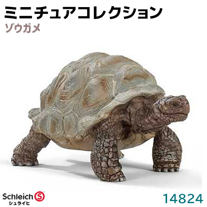 シュライヒ フィギュア ゾウガメ 14824 Schleich 7.8×4.1×4.3cm 動物 亀 フィギュア デザイン おもちゃ プレゼント インテリア ギフト ミニチュア コレクション トイ インテリアトイ アニマル かわいい 知育玩具 ソフビ 39ショップ ポイント消化 スーパーSALE