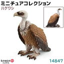 シュライヒ フィギュア ハゲワシ 14847 Schleich 6×7×4cm 鷲 ワシ イーグル 鳥 バード 動物フィギュア デザイン おもちゃ プレゼント ...
