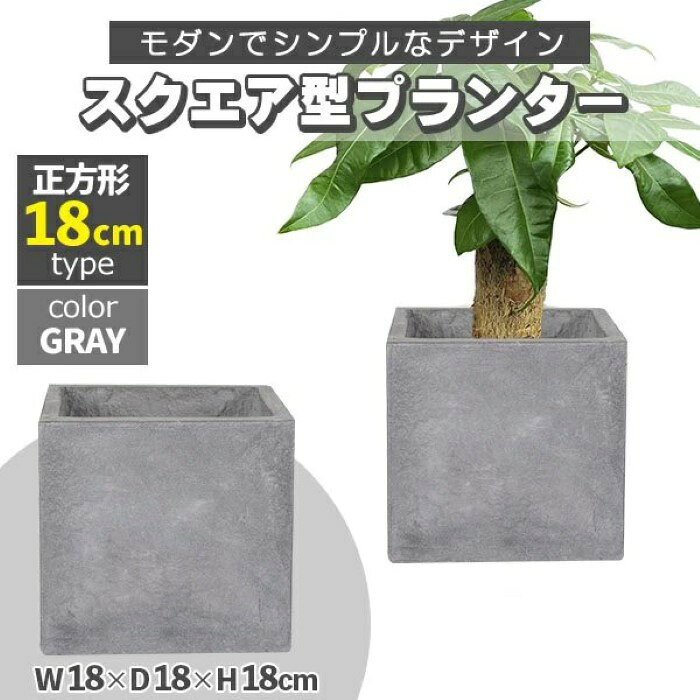 価格帯で探す 〜￥1,000 ￥1,000〜￥2,000 ￥2,000〜￥5,000 ￥5,000〜￥10,000 ￥10,000〜 検索ワード：プランター 小型 スクエア 正方形 グレー 18x18x18cm 深型 プランターボックス 植木鉢 鉢植えカバー プランターカバー 鉢カバー 屋外 ガーデニング 観葉植物 家庭菜園 玄関 軽量 グラスファイバー 排水穴 モダン おしゃれモダンでシンプルな大人デザインなプランター。植物の印象をグレードアップ！シンプルでモダンなデザイン、鉢カバーや植木鉢としても使用可能です。水抜き用の穴が開いています環境にやさしいエコな素材。ファイバークレイは、ガラス繊維にマグネシアセメントや樹脂を練りこんだ素材で、主原料は海水から作る海水マグネシア。天然由来正で人や自然に優しくエコな素材です。※表面に細かい気泡があり、通気性、通水性に優れているので植物の育成に適しています。材質の特性上、成形後に1cm弱収縮する場合がございます。サイズ表記はあくまでも目安となり、誤差が生じる可能性がございますので予めご了承ください。 商品詳細カラー：グレー、外寸(約)：幅18cmx奥行18cmx高さ18cm、重量(約)：5kg、材質：ファイバークレイ