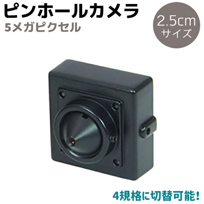 防犯カメラ 小型 5メガピクセル 4in1 ピンホール カメラ HD-CVI HD-TVI AHD CVBVS 5MP 1/2.7インチ f3.7mm 隠しカメラ セキュリティ 防犯 小型カメラ 送料無料 39ショップ買いまわり