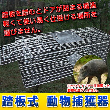 捕獲器 動物捕獲器 トラップゲージ 65cm×23cm×28cm 捕獲機 捕獲器 保護 踏板 踏み板