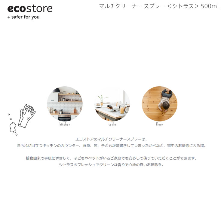 お買い物マラソン先着11名様限定15%OFFクーポンあり ランキング1位獲得 あす楽 ecostore エコストア マルチクリーナースプレー シトラス 500mL 2