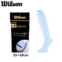 【即納 あす楽】Wilson ウイルソン ア