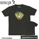 【エントリーでポイント10倍】即納 BASEBALLISM ベースボールイズム メンズ 半袖Tシャツ チャコール OT0125SS04 M L XL 野球 ウエア