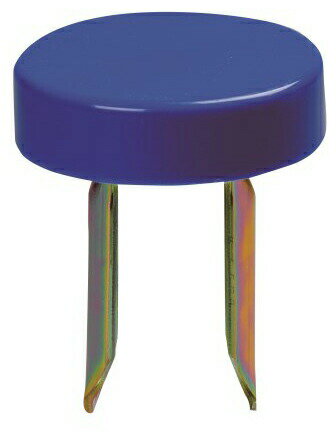 �ڥ����ѡ������� �ݥ����10�� �ץ���ȥ꡼��EVERNEW ���Х˥塼 EKA568 ���饦��ɥޡ�����N-ODX �� ����������