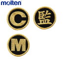 molten モルテン バレーボール ワッペンセット VWSGL 公式試合用