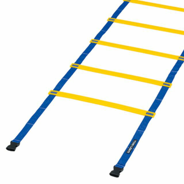 【大感謝祭 ポイント10倍! 要エントリー】TOEI LIGHT トーエイライト G1272 スピードラダーHG40-8M