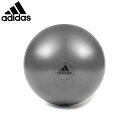 バランスボール adidas アディダス ジムボール グレー 55cm ADBL-11245GRポンプ付き バランスボール 体幹 腰痛