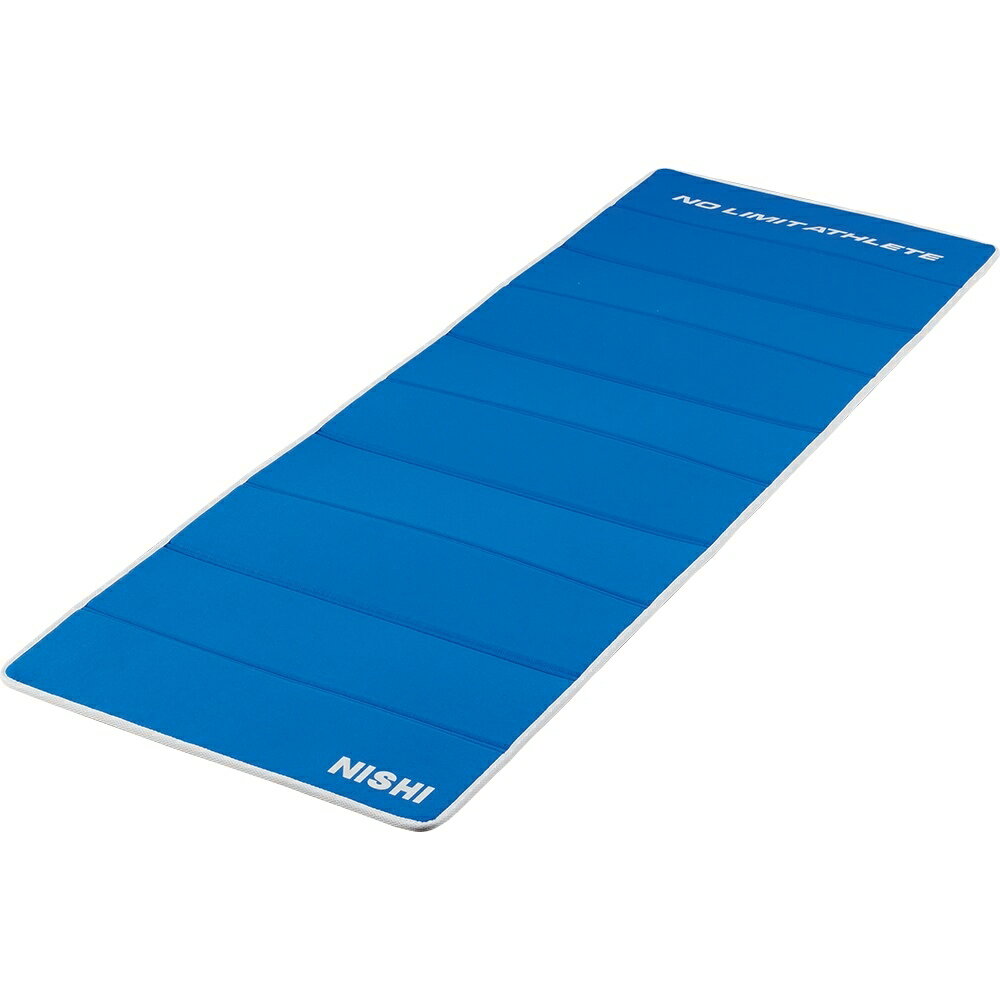 【エントリーでポイント10倍！】NISHI ニシ・スポーツ 3833A851 エクサマット NE-10 ブルー