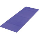 【エントリーでポイント10倍】NISHI ニシ・スポーツ 3833A861 エクサマット MAT-6