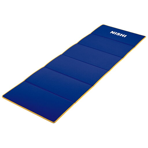 NISHI ニシ・スポーツ NT7922A エクサマット NE-6 パープル×イエロー NISHI ニシ・スポーツ NT7922A エクサマット NE-6 パープル×イエロー