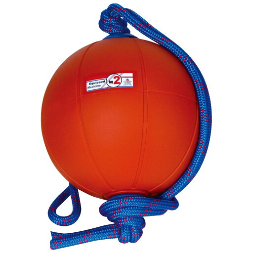 NISHI ニシ・スポーツ T5912 スウィングメディシンボール 2kg NISHI ニシ・スポーツ T5912 スウィングメディシンボール 2kg