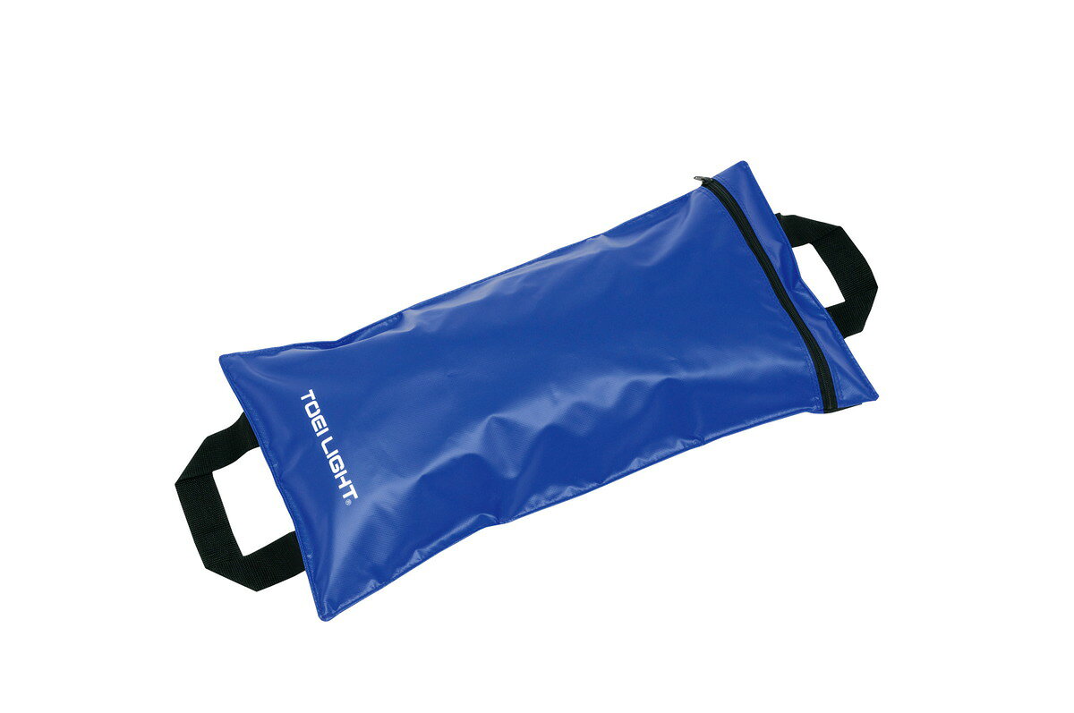 ���紶�պ� �ݥ����10��! �ץ���ȥ꡼��TOEI LIGHT �ȡ������饤�� B3221 ����ɥ�������SW20 ������