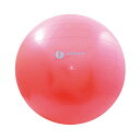 PROMARK プロマーク TPT0268 バランスボール 65cm レベル2 アクセサリー&トレーニング サクライ貿易 トレーニング用品 在宅ストレス ダイエ...