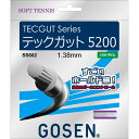 GOSEN S[Z \tgejX Kbg TECGUT 5200 i` SS602NA