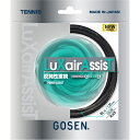 【エントリーでポイント最大10倍】GOSEN ゴーセン LuXairAssisT 16L ブラック TSLXA1BK