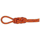 【エントリーでポイント10倍】MAMMUT マムート 9.0 アルパイン センダー ドライロープ クライミング Alpine Sender Dry Rope Climbing 60m 2010-04200D SUNRISE-ICE 201004200D