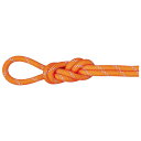 【エントリーでポイント10倍】MAMMUT マムート 9.5 アルパイン ドライ ロープ Alpine Dry Rope 2010-04220 SAFETY OR-ZE 201004220B