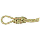 【エントリーでポイント10倍】MAMMUT マムート 9.5 ジム クラシック ロープ GYM CLASSIC ROPE BOA-WHITE 201004260B