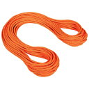 【エントリーでポイント10倍】MAMMUT マムート 9.8 クラグ ドライ ロープ Crag Dry Rope 2010-04280 SAFETY OR-BO 201004280B