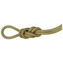 MAMMUT }[g 9.9 Gym Workhorse Classic Rope W [Nz[X NVbN [v 2010-04310 BOA 201004310A