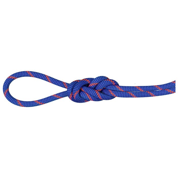 yX2_ȏōőP10{vGg[zMAMMUT }[g 7.5 Alpine Sender Dry Rope ApC Z_[ hC [v 2010-04330 BL-SAFETY OR 201004330A