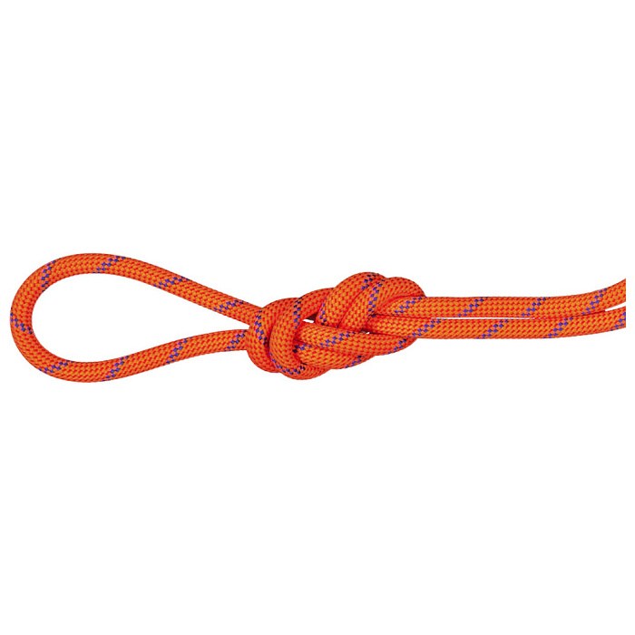 yX2_ȏōőP10{vGg[zMAMMUT }[g 7.5 Alpine Sender Dry Rope Climbing ApC Z_[ hC NC~O 70m 2010-04330C FIRE-BLUE 201004330C