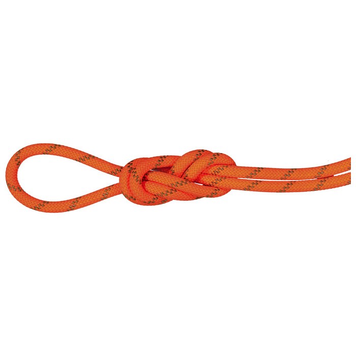 yX2_ȏōőP10{vGg[zMAMMUT }[g 8.0 Alpine Dry Rope ApC hC [v 2010-04350 SAFETY OR-BO 201004350B