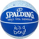 SPALDING スポルディング ベイビーズ ファースト ボーイ SZ1 65892Z