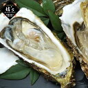 牡蠣 大粒 3L 広島県産 超特大 1kg かき カキ 1キ...